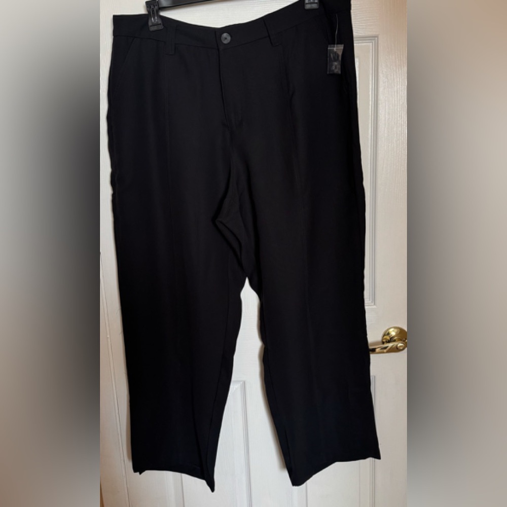 Sanctuary trouser women’s extended size